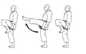 mae geri