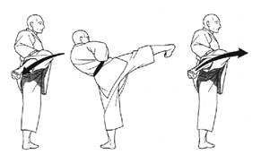mawashi geri